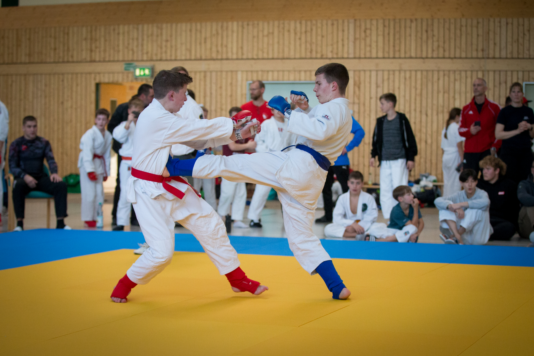 komplett-152-von-168 komplett-152-von-168