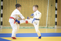 Turnier-Basdorf-komplett-60-von-310